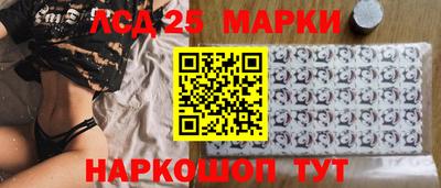 индика Заволжье