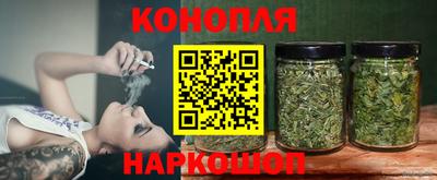 индика Заволжье