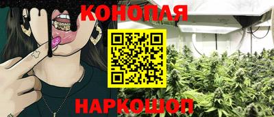 индика Заволжье