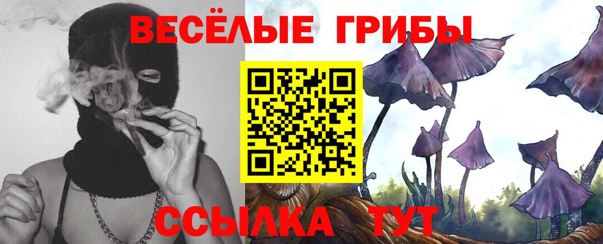 Галлюциногенные грибы ЛСД  Вход с VPN  купить наркоту  Надым  Галлюциногенные грибы MAGIC MUSHROOMS 